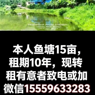 鱼塘，土地，房屋共50亩，转租，十年！价格优惠！