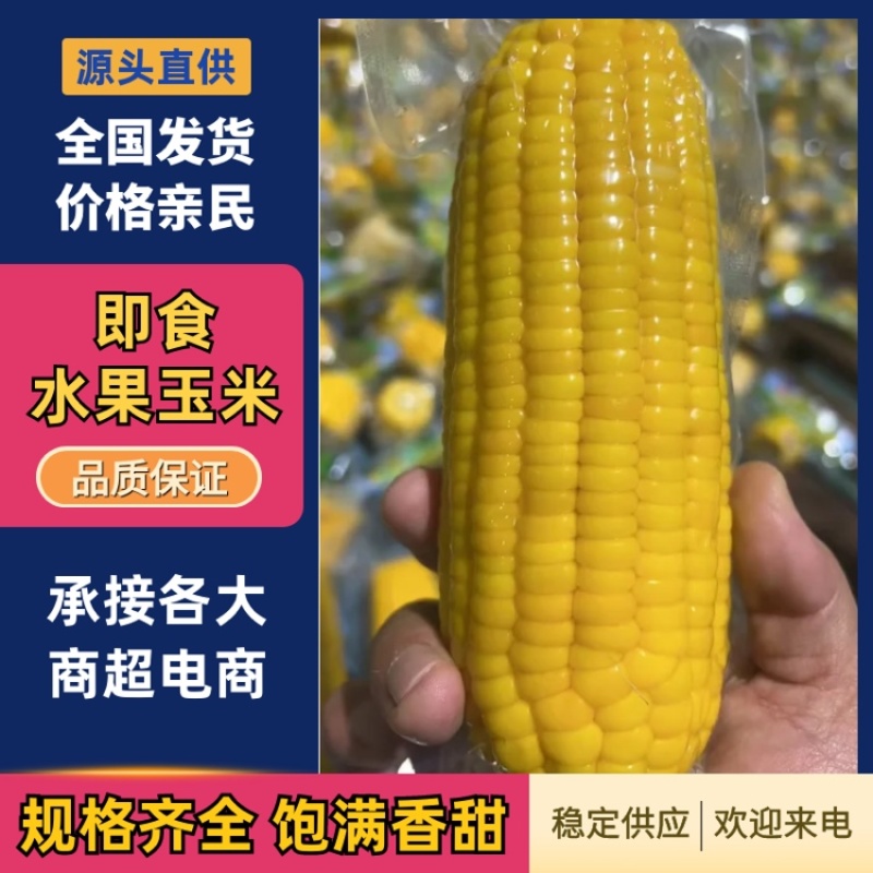 即食水果玉米大量有货一手货源品质保证服务周到产地直销