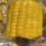 即食水果玉米大量有货一手货源品质保证服务周到产地直销