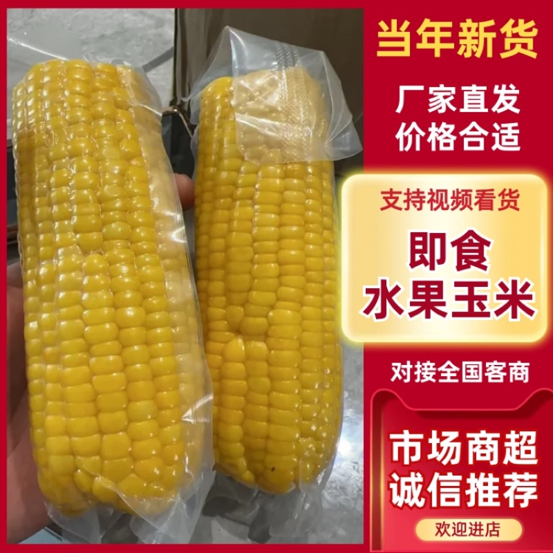 即食水果玉米大量有货一手货源品质保证服务周到产地直销