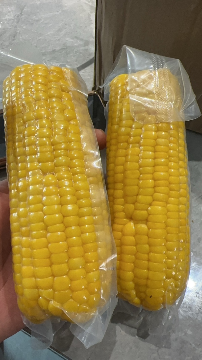 即食水果玉米大量有货一手货源品质保证服务周到产地直销