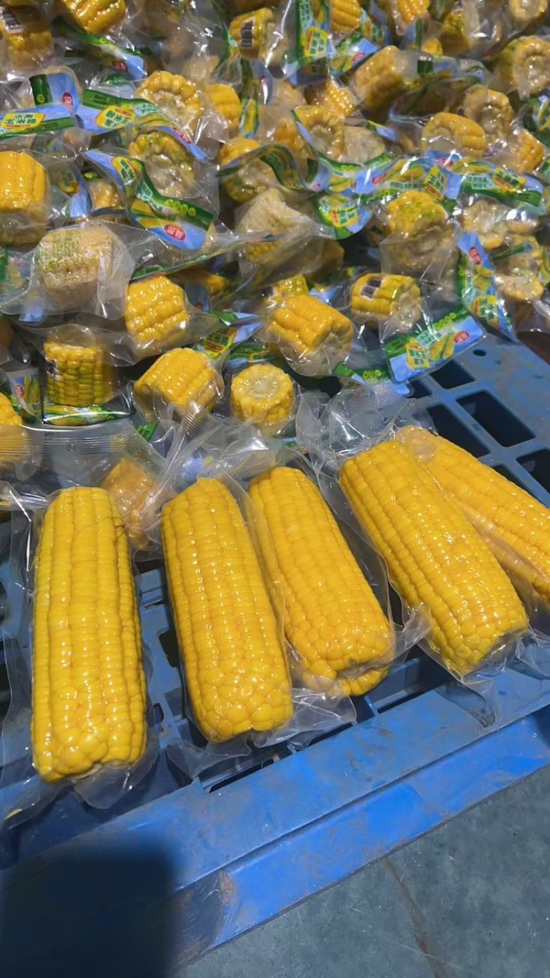 即食水果玉米大量有货一手货源品质保证服务周到产地直销