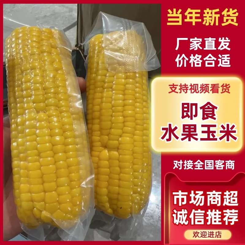 即食水果玉米大量有货一手货源品质保证服务周到产地直销