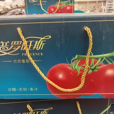 普罗旺斯西红柿上货中，口感好，颜色亮，提供找车一代龙服务