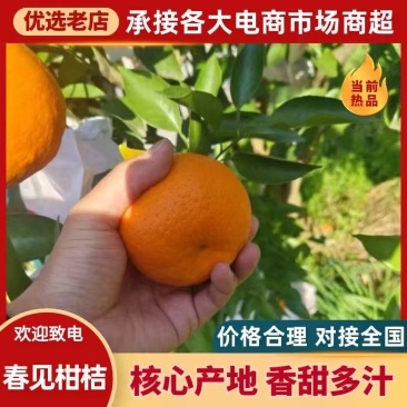 【推荐】重庆万州耙耙柑批发，一手货源品质保障，货源充足