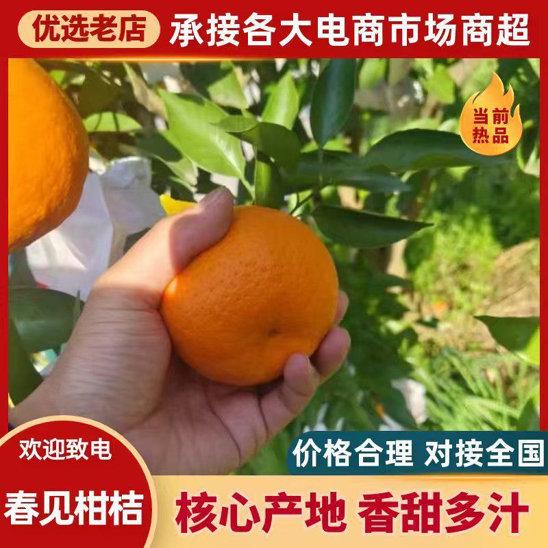 【推荐】重庆万州耙耙柑批发，一手货源品质保障，货源充足
