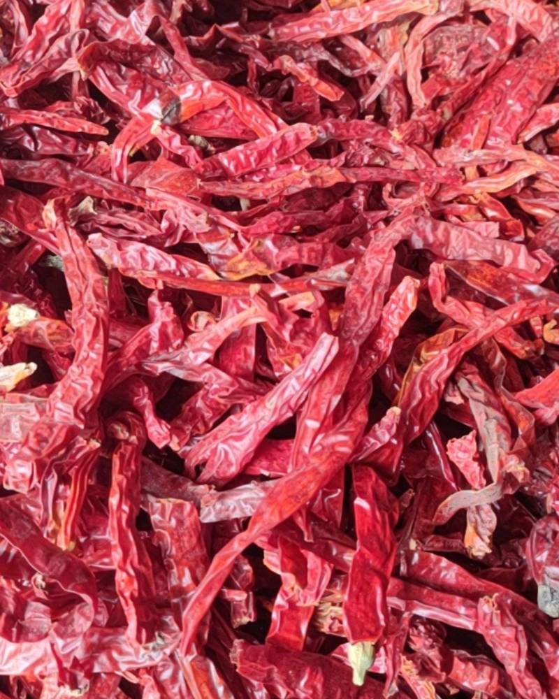 干辣椒（二荆条）