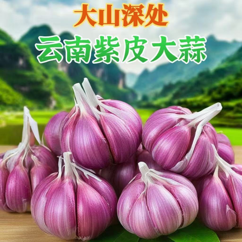 【推荐】云南紫皮大蒜/鲜大蒜/视频看货/诚信经营/电询
