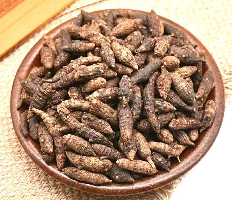 中药材香附子颗粒饱满干净无杂香气浓郁泡水泡茶包邮
