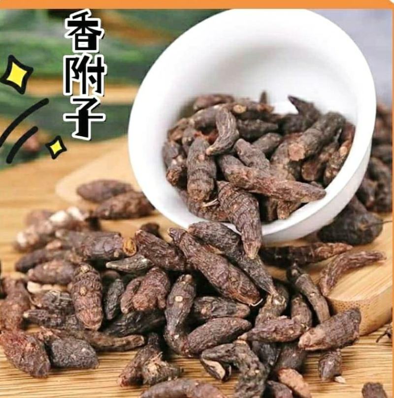 中药材香附子颗粒饱满干净无杂香气浓郁泡水泡茶包邮