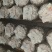 高产平菇菌包