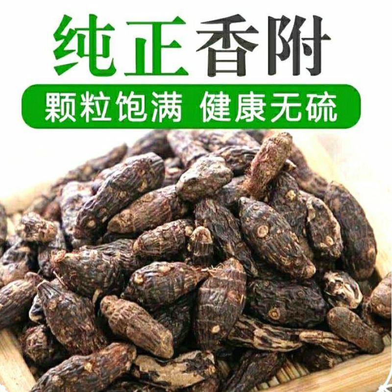 中药材香附子自然晾干香气四溢泡水泡茶包邮