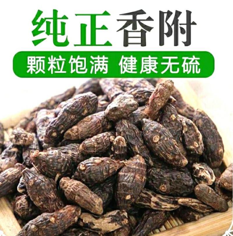 中药材香附子自然晾干香气四溢泡水泡茶包邮