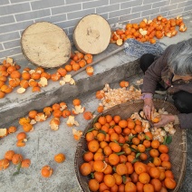 陈皮
