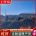 北板蓝根干货/大量批发/品质保证/产地直发/可全国发货