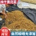 【热卖】内蒙古直发干黄花菜自然晾干0添加好品质欢迎选购