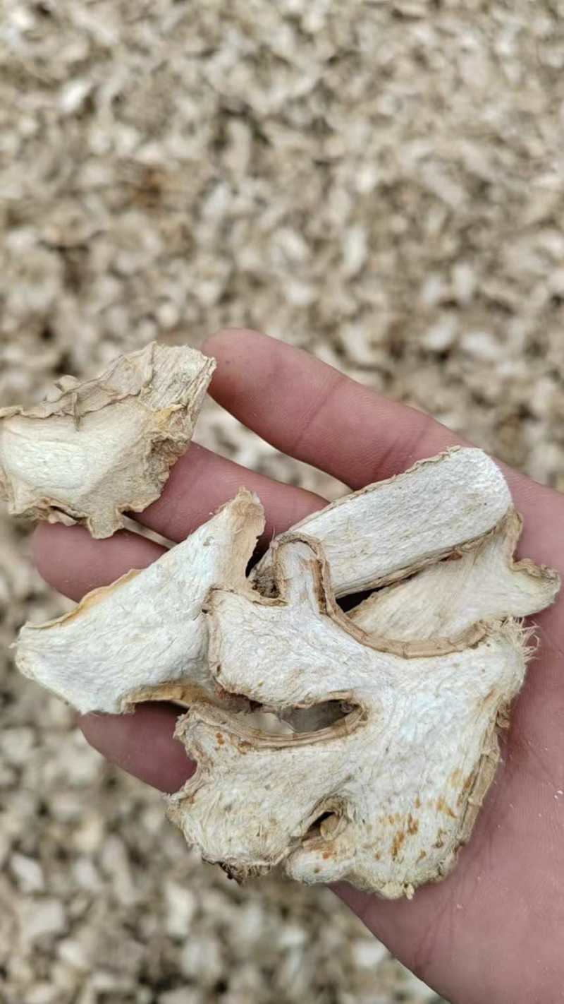 精品云南小黄干姜片/统货批发/老姜片食用姜/无硫干姜片