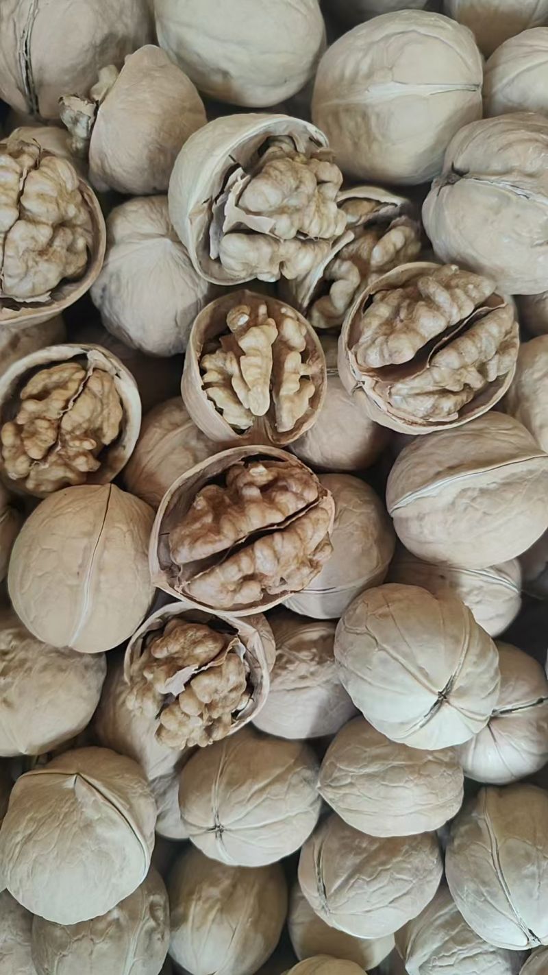 厂家新疆薄皮核桃1斤2斤5斤代发电商团购纸皮核桃售后无忧