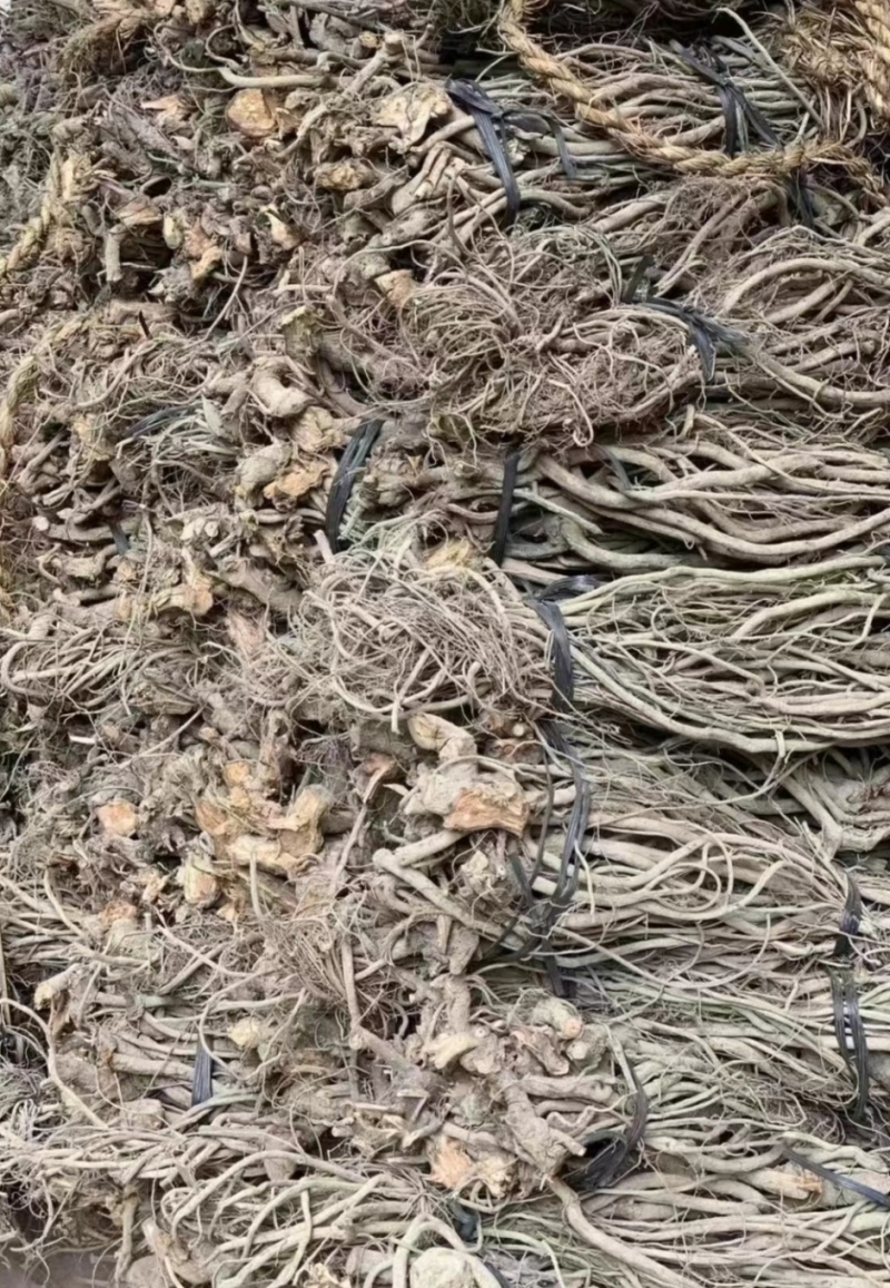 鱼藤大量供应，有实力企业请联系
