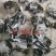 干海带小头（10公分左右），无沙干海带头（30公分左右）