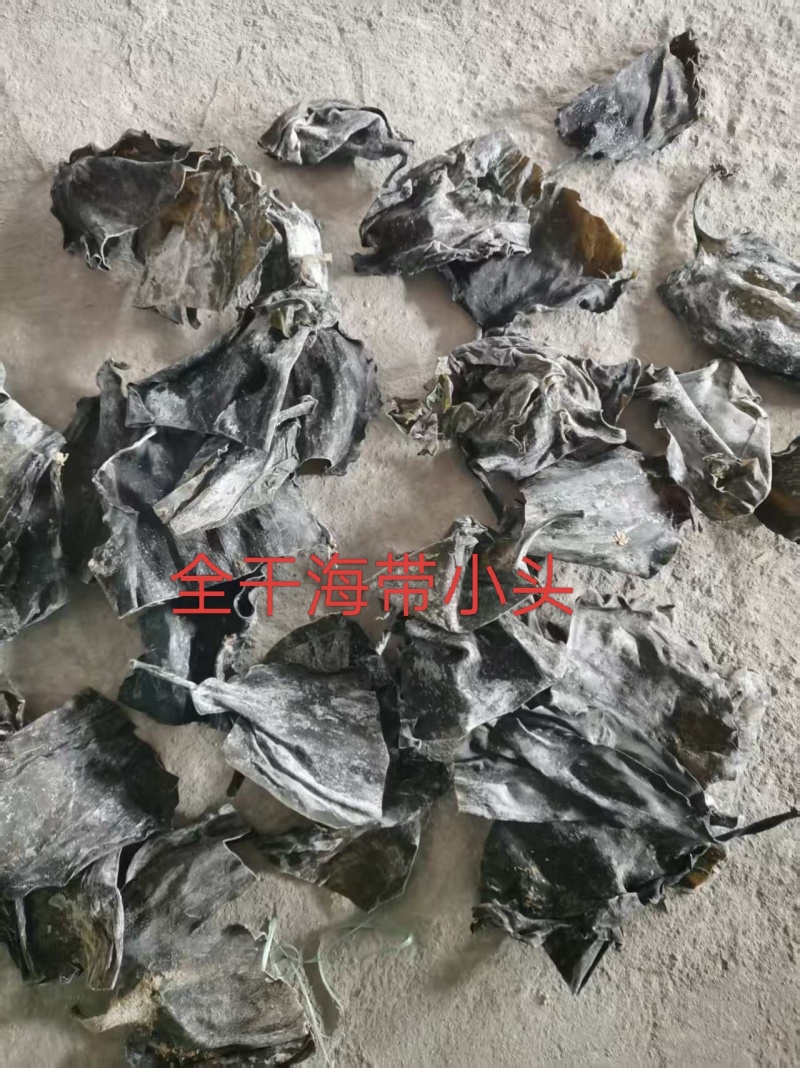 干海带小头（10公分左右），无沙干海带头（30公分左右）