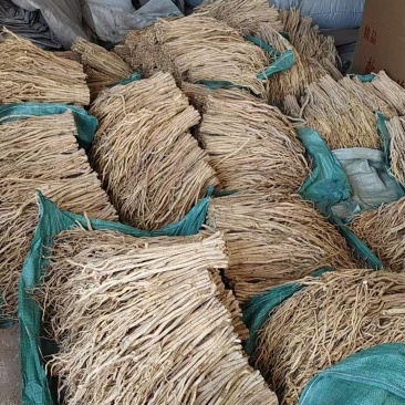 处理一批防风200斤包邮
