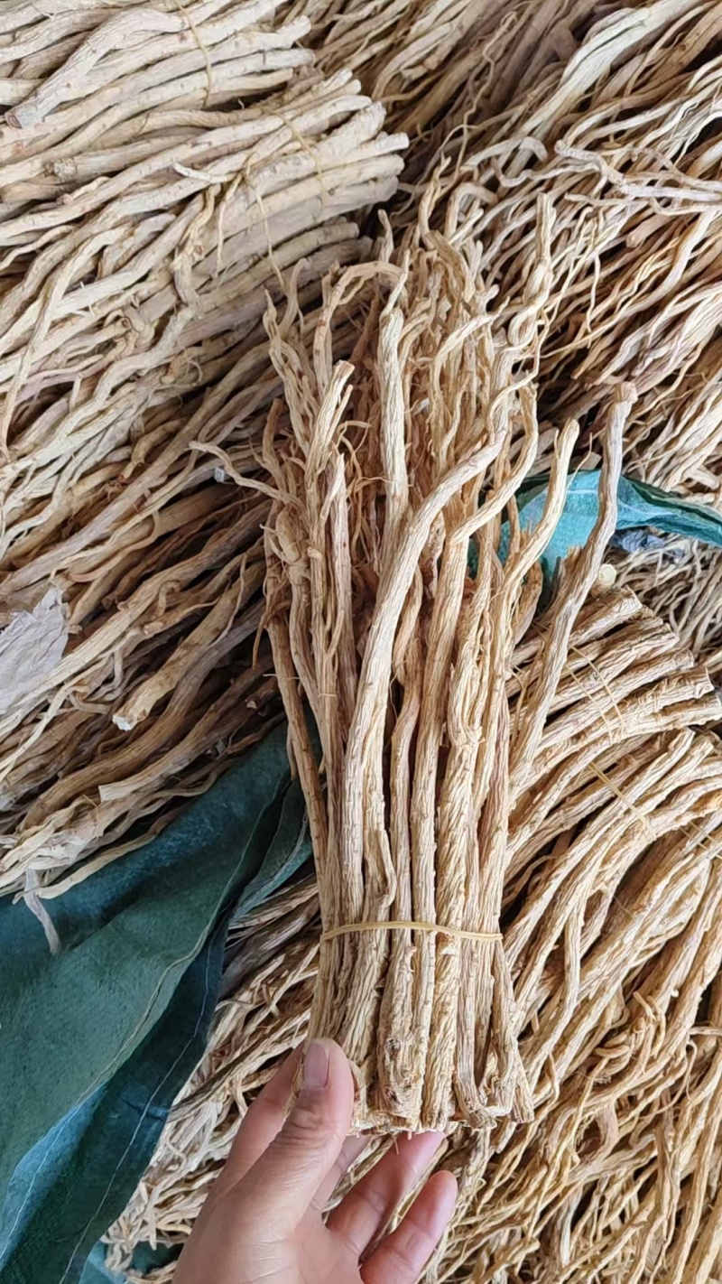 处理一批防风200斤包邮