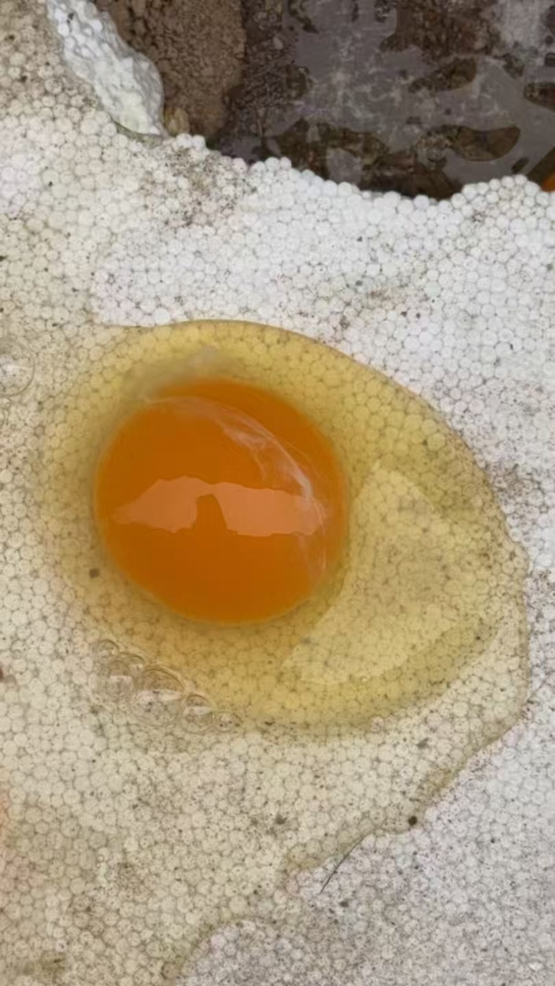 粉蛋