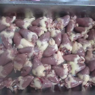 大肉鸡心