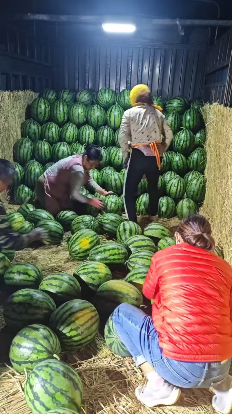 精品山东甜王西瓜，产地直发，量大价优，支持视频看货