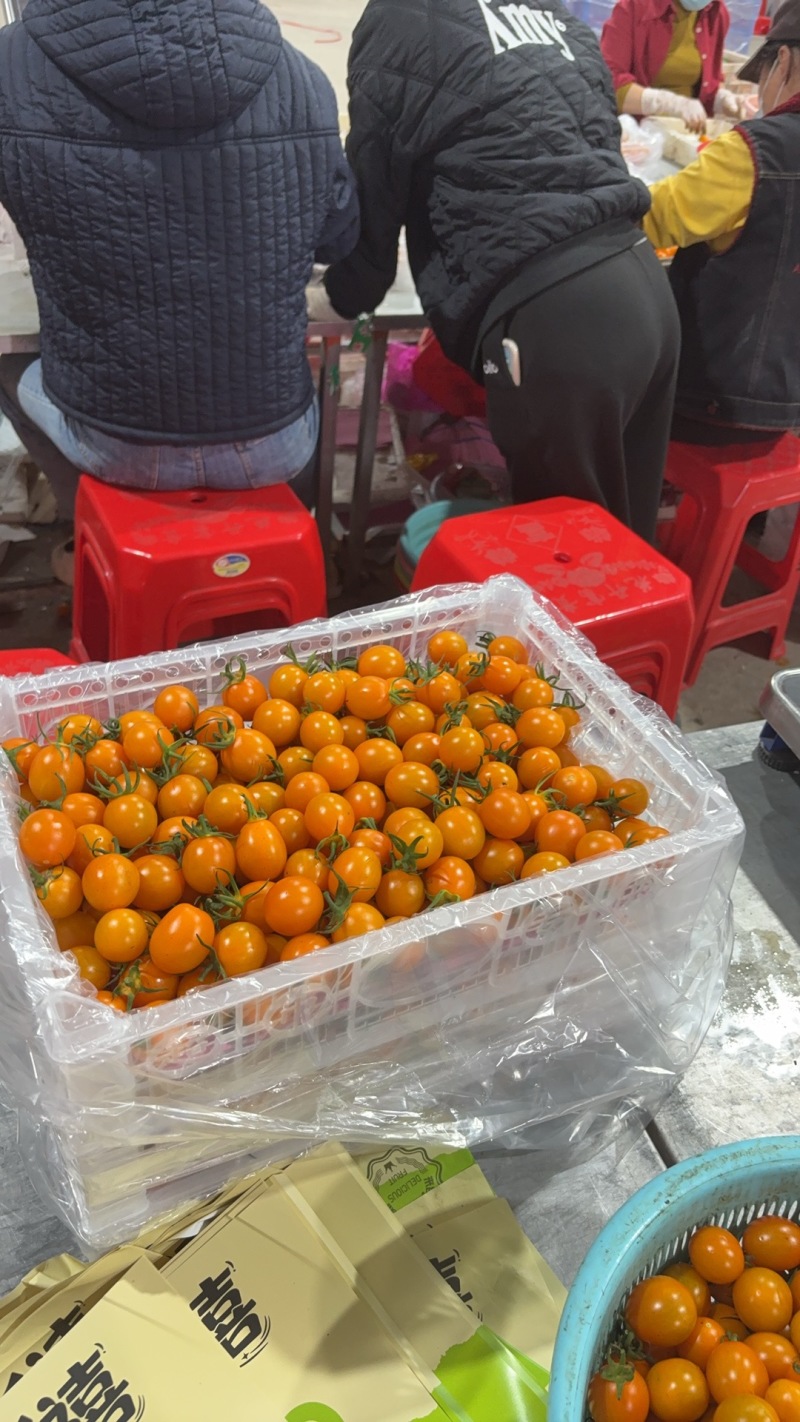 【实力】香芒皇后圣女果大量上市货源充足保质保量欢迎下单