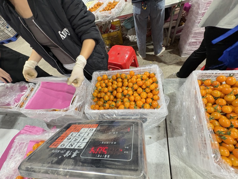 【实力】香芒皇后圣女果大量上市货源充足保质保量欢迎下单