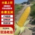水果玉米/产区直发/基地直采/货源充足/