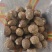 芋头山东毛芋头/芋头8520规格齐全，坏烂包赔，价格可谈