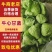 精品牛心甘蓝基地直供鲜嫩甘蓝蔬菜货源充足批发