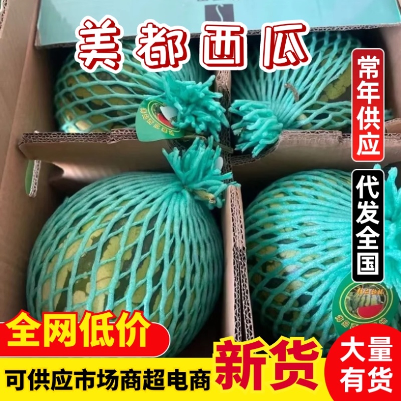 美都西瓜/产区直发/货源充足/欢迎选购