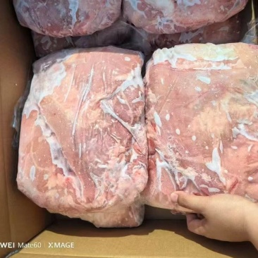 羔羊羊腩肉品质好