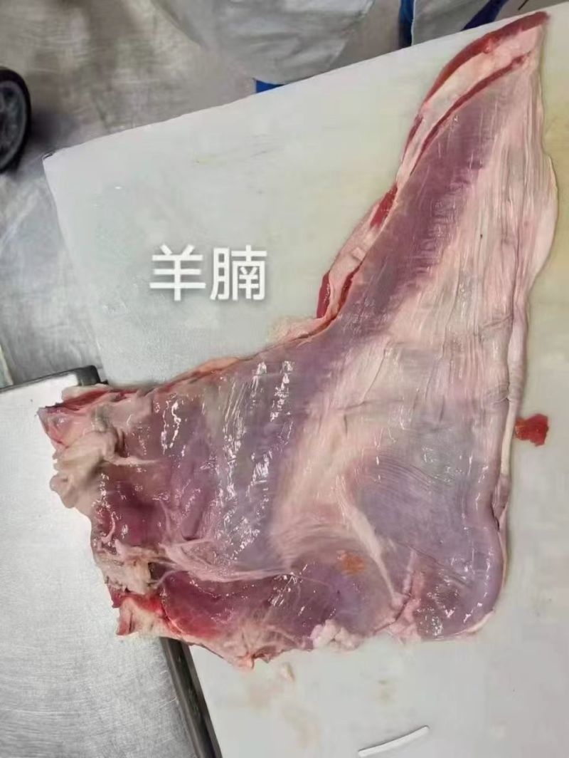 羔羊羊腩肉品质好