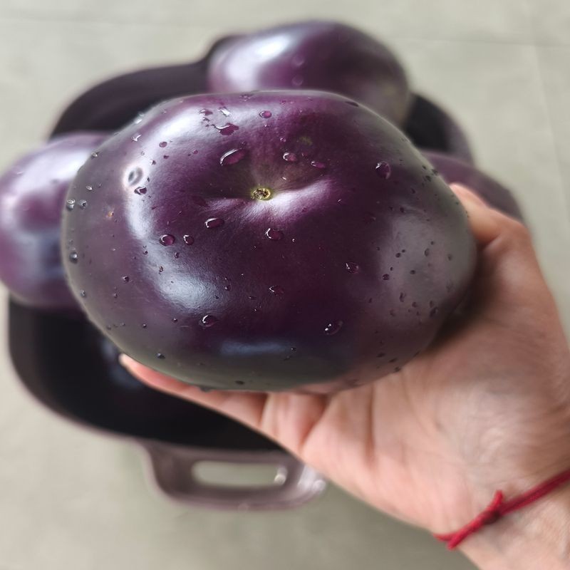 云南紫圆茄新鲜现摘产地直供量大价优