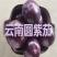 云南紫圆茄新鲜现摘产地直供量大价优