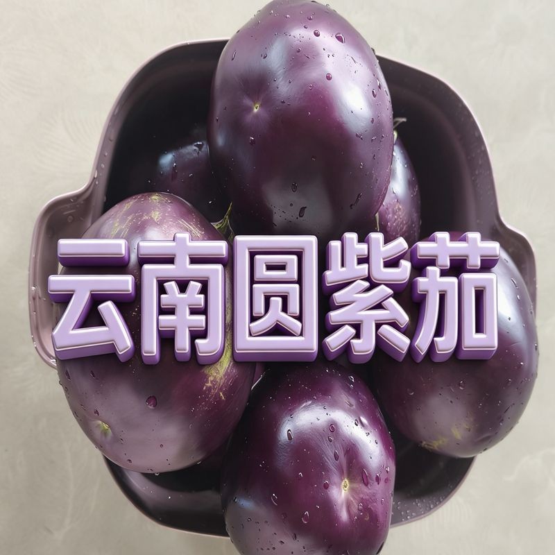 云南紫圆茄新鲜现摘产地直供量大价优