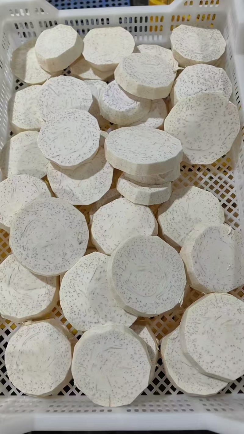 大量供应荔浦芋头片条块欢迎各位老板合作采购