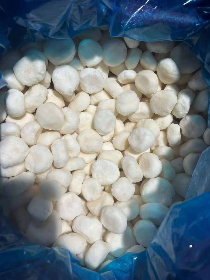 大量供应荔浦马蹄，马蹄丁