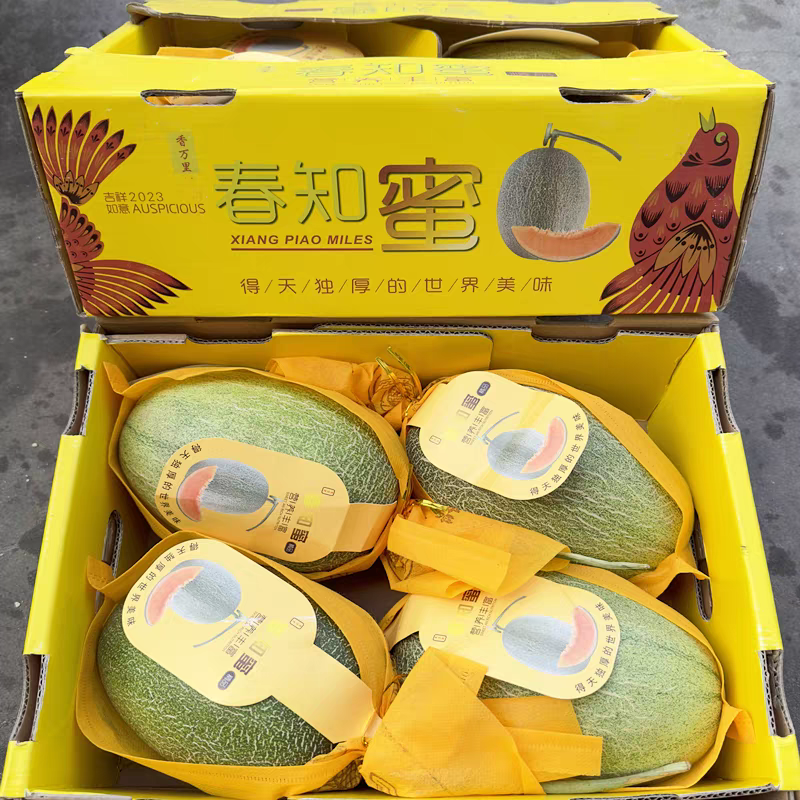 （甘肃西州蜜瓜）对接电商市场商超工厂，可开发票