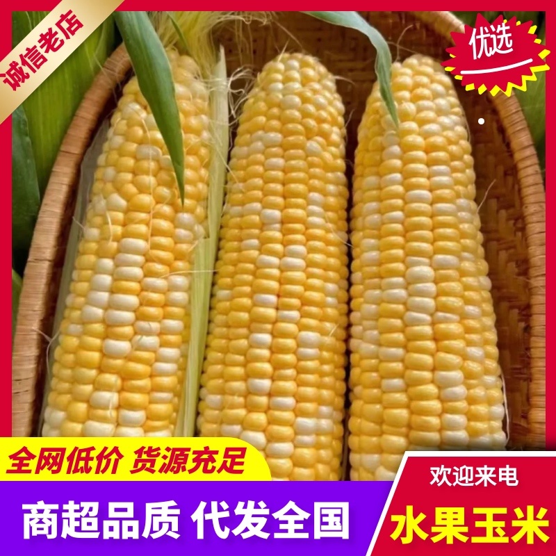 云南德宏水果玉米/基地直发/货源充足/大量有货