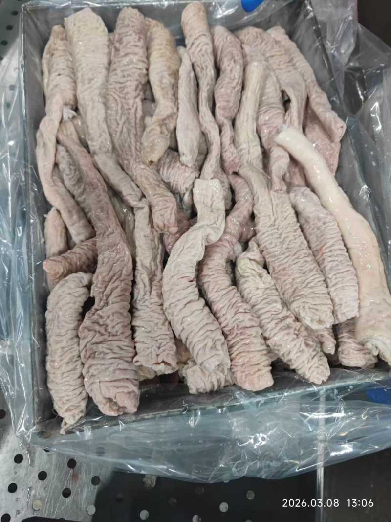 肥猪大肠头10公斤/箱
