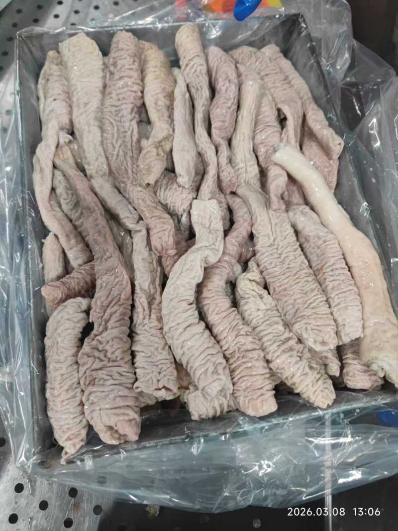 肥猪大肠头10公斤/箱