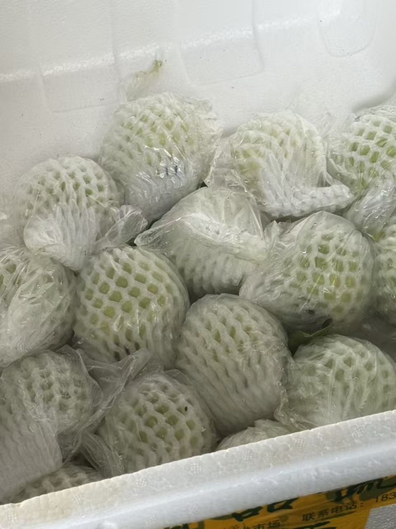 白心红心芭乐全国可发货