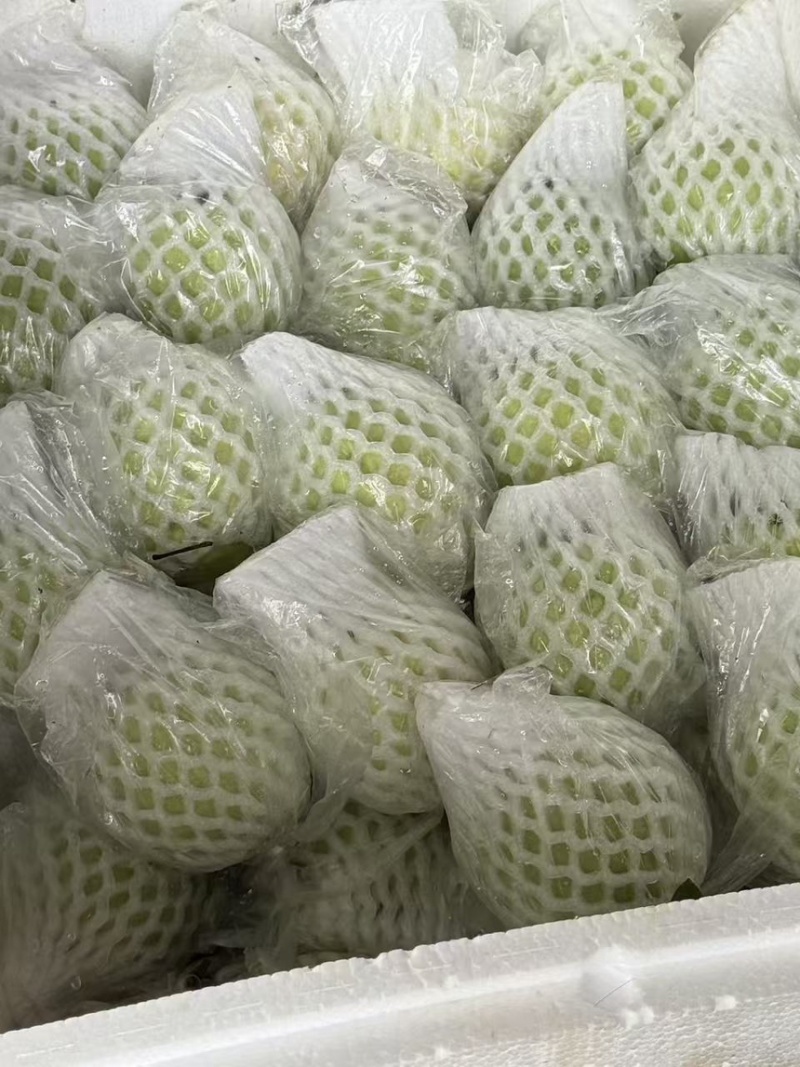 白心红心芭乐全国可发货