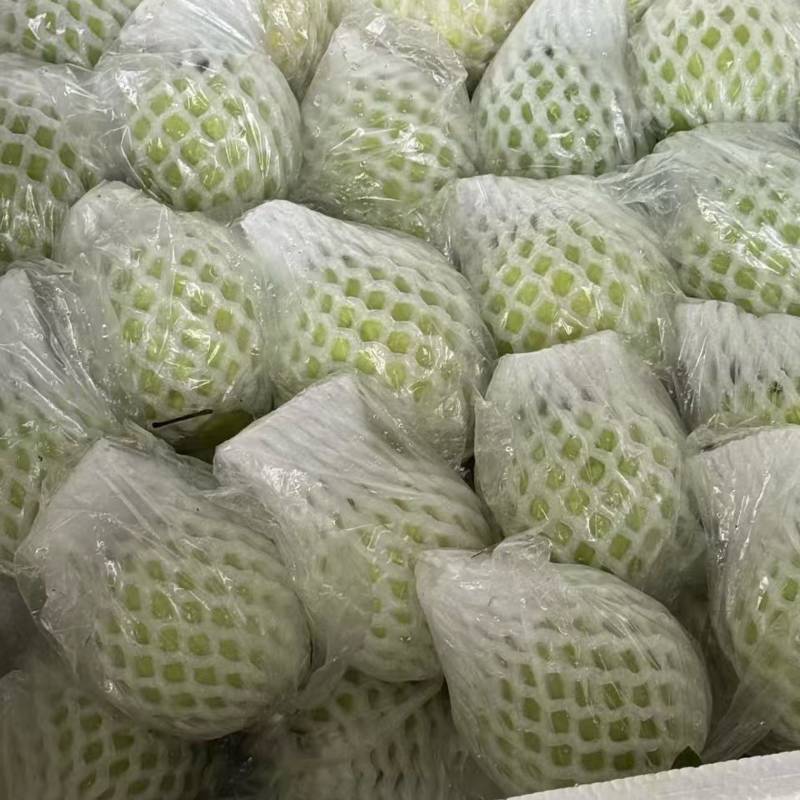 白心红心芭乐全国可发货